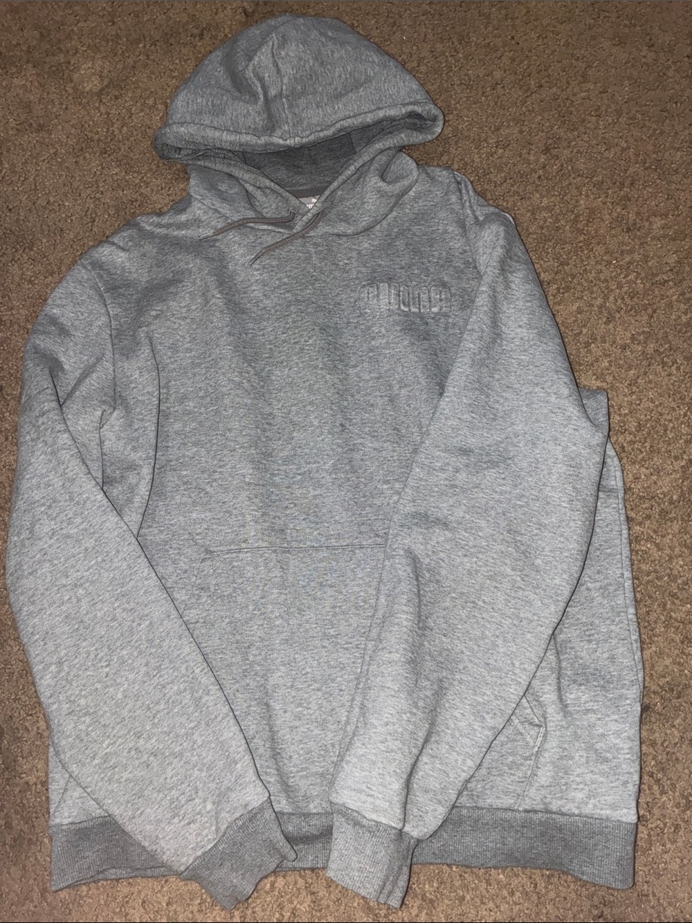 Puma Gray Hooded Pullover Sweatshirt